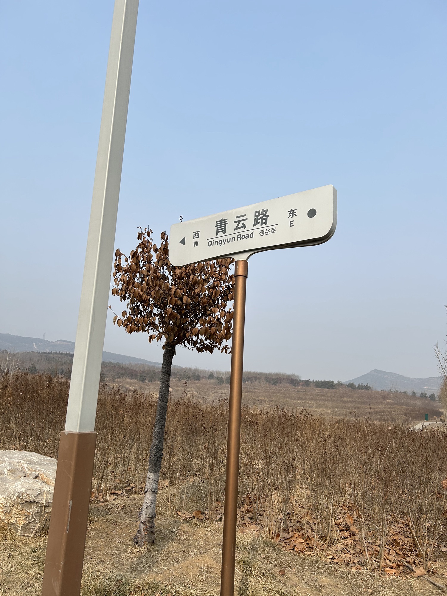 九龙山矿山生态修复公园旅行图片 3