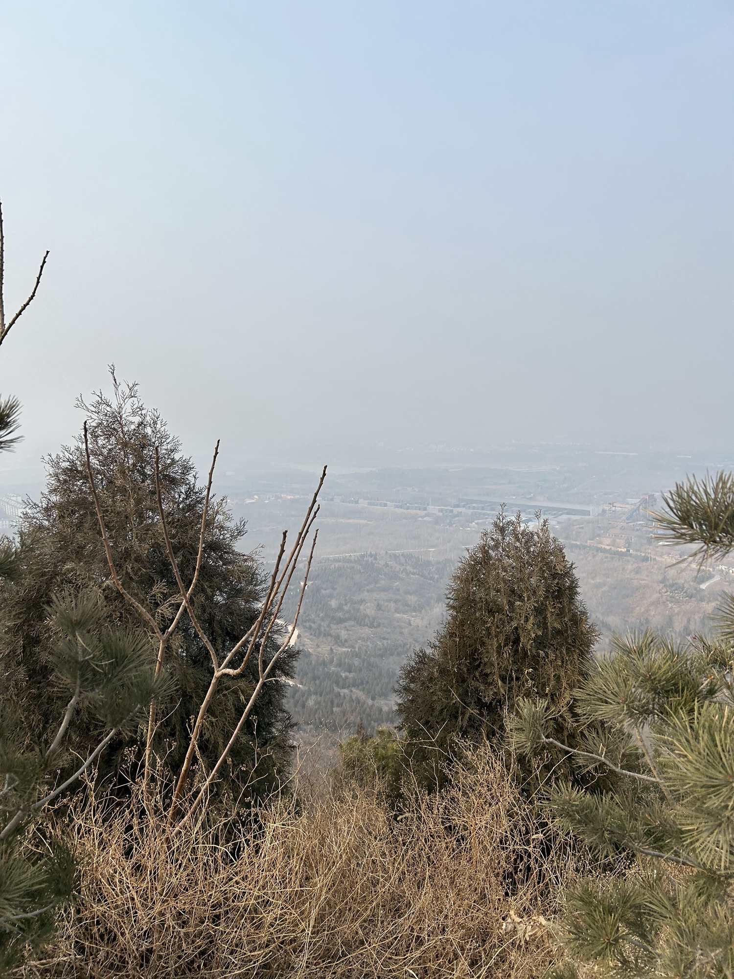 九龙山矿山生态修复公园旅行图片