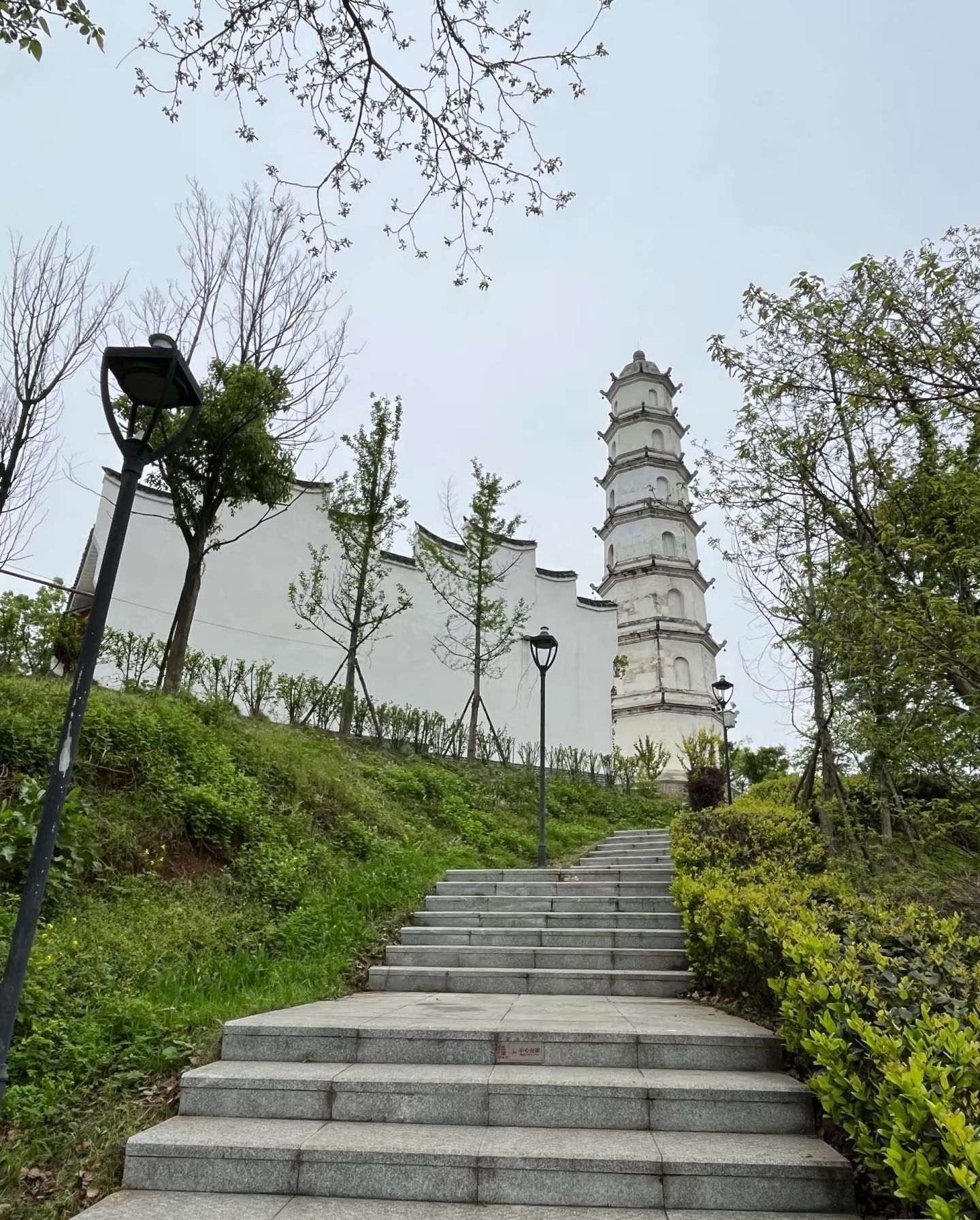 临湘塔旅行图片 1