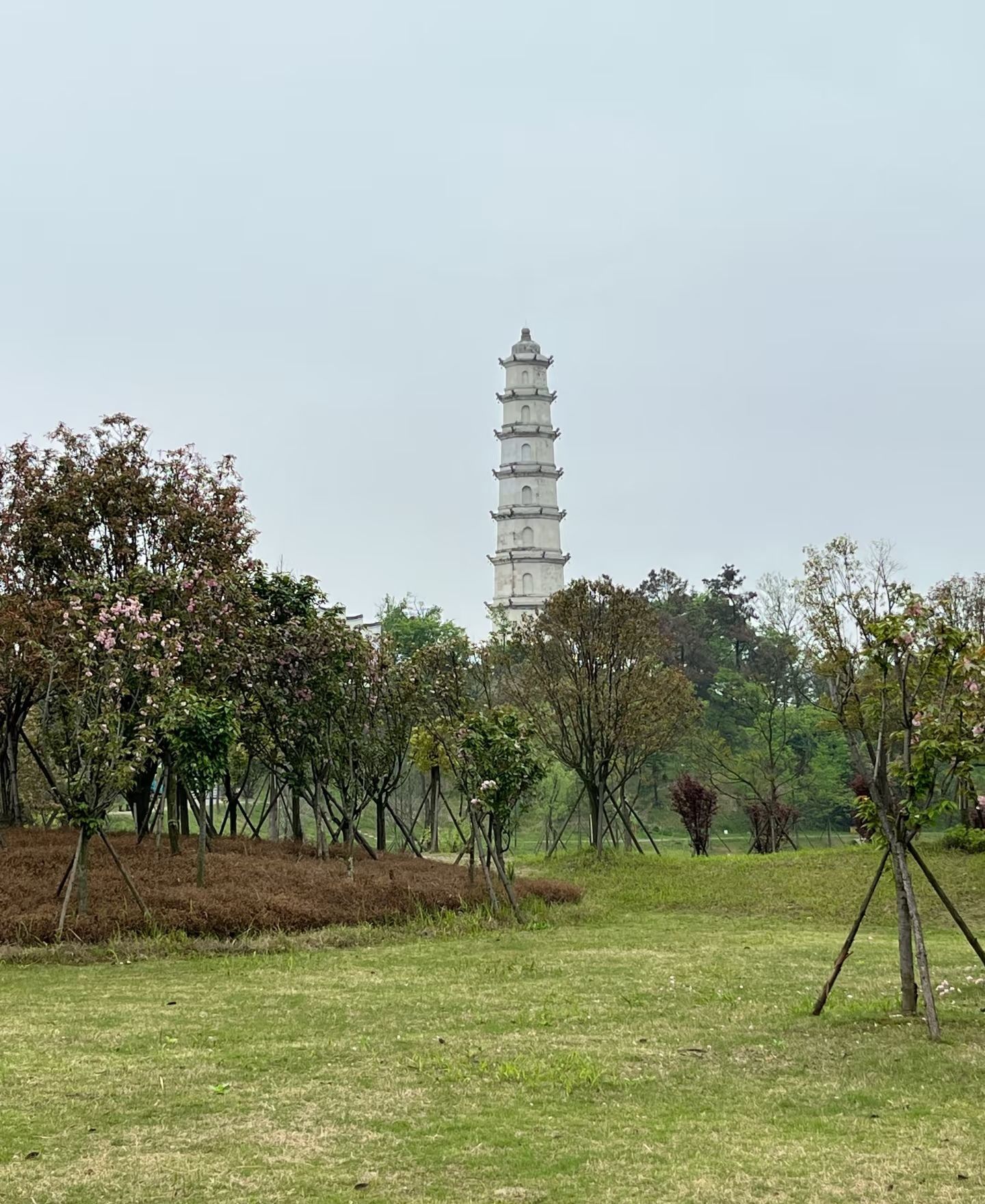 临湘塔旅行图片 3