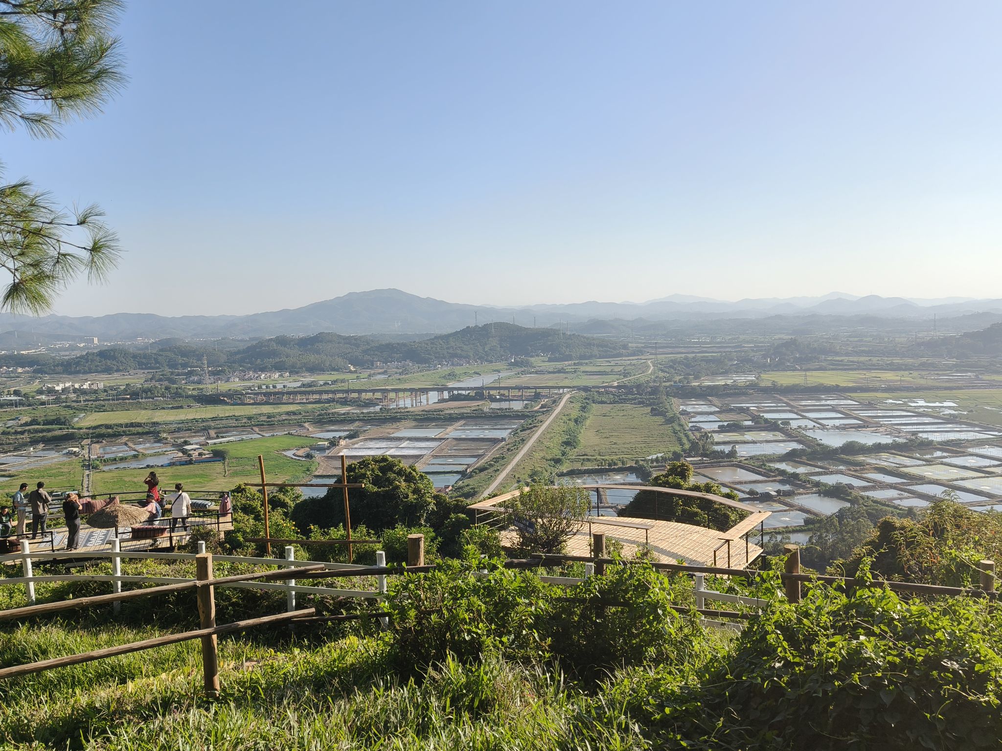 金渡大花坛旅行图片 2