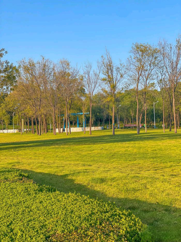 东营市森林公园