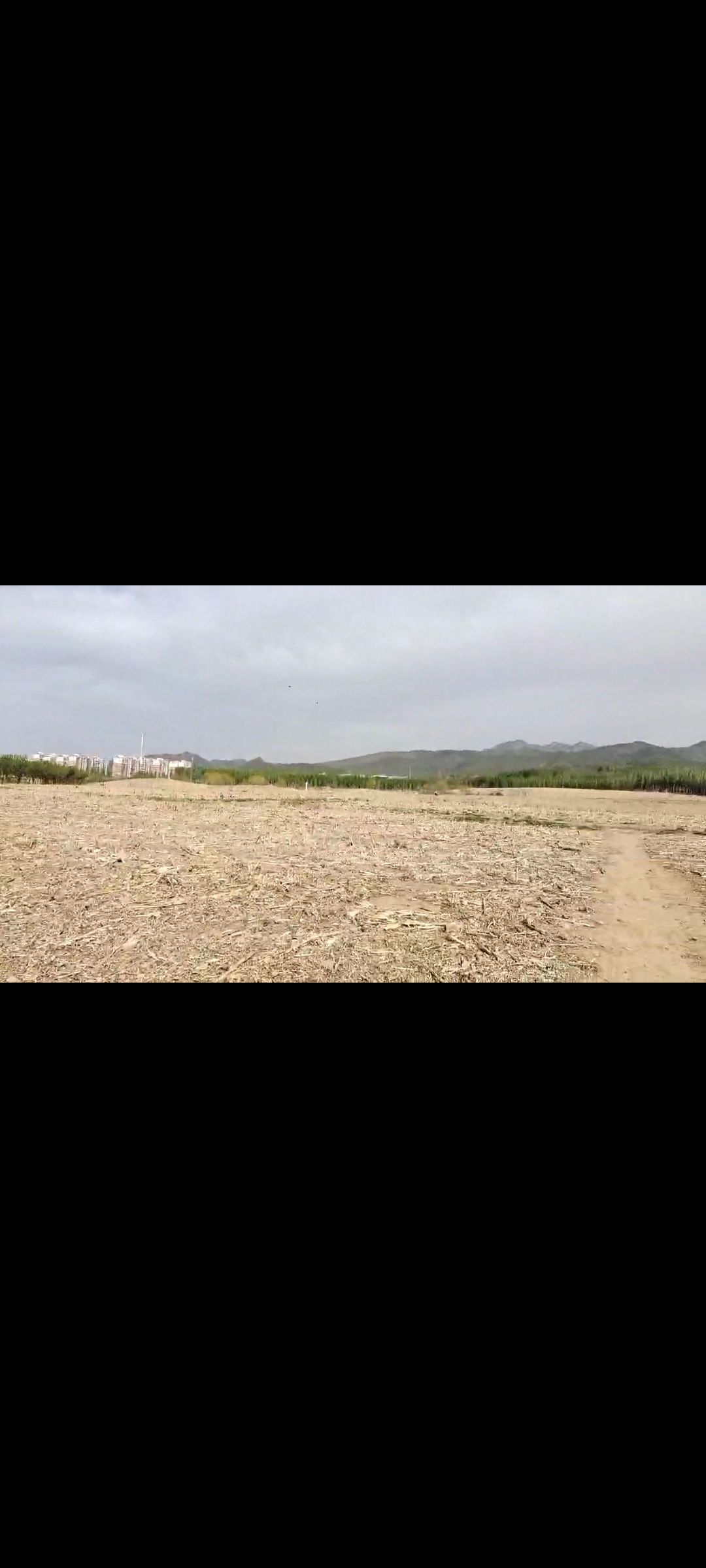 夏各庄滨水生态休闲公园旅行图片 2