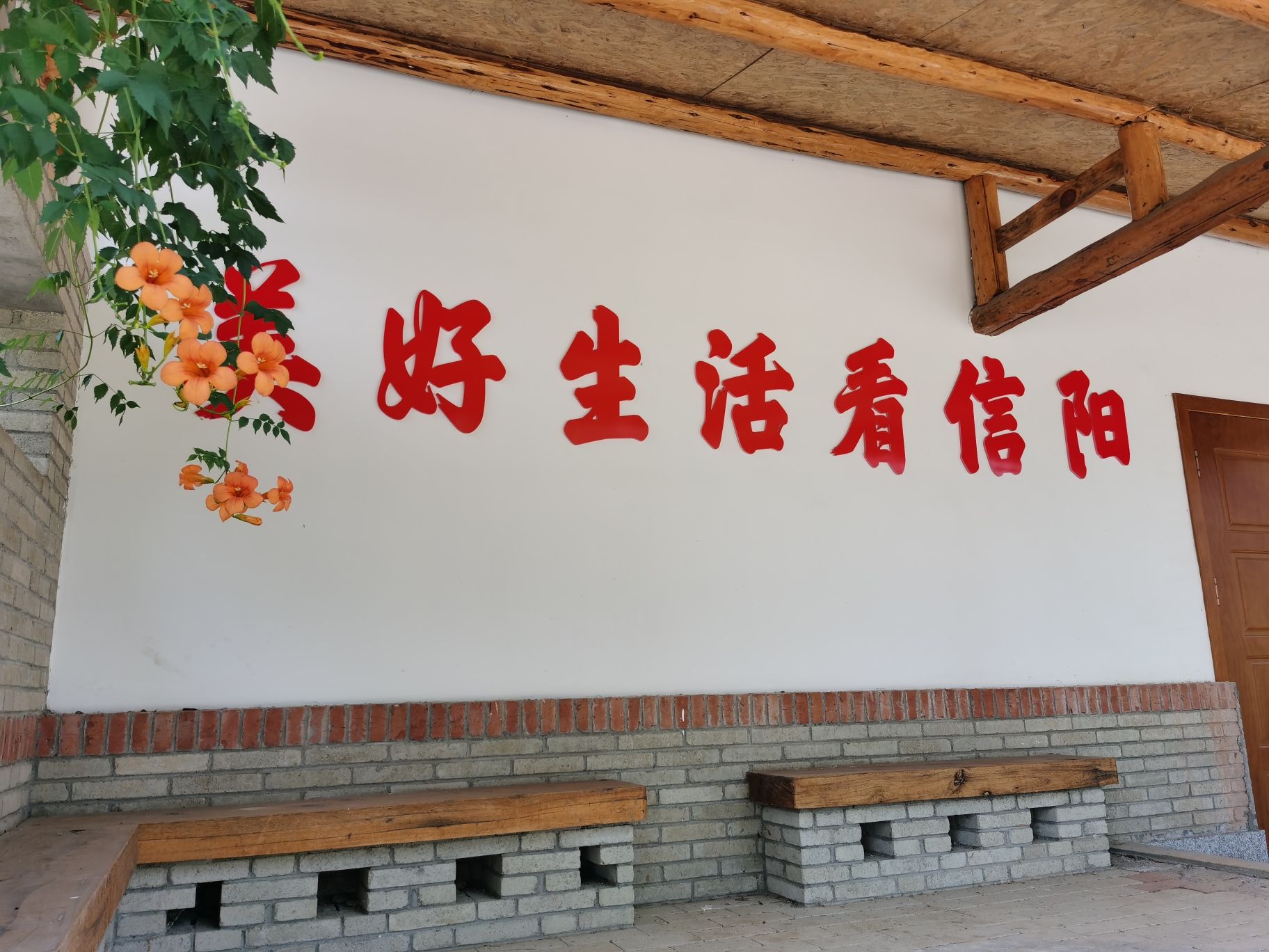 彭家湾植物园旅行图片 3