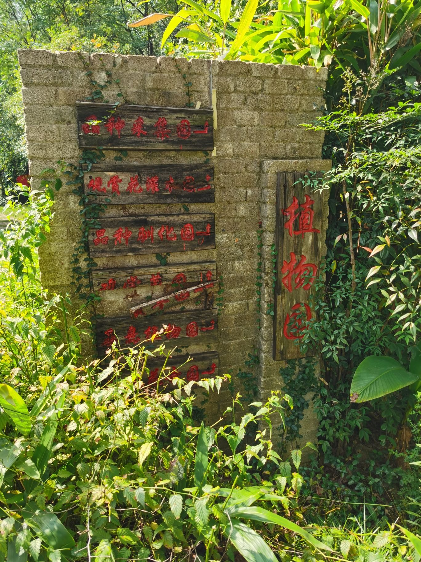 彭家湾植物园旅行图片 2
