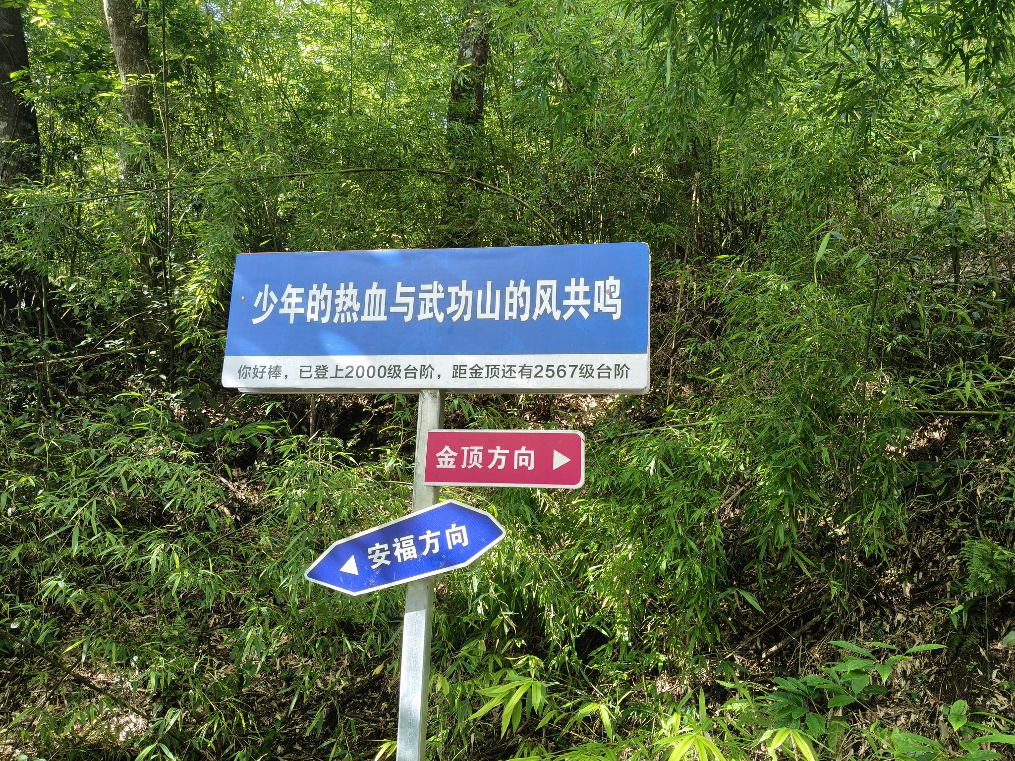 吉安武功山国家级风景名胜区旅行图片 2