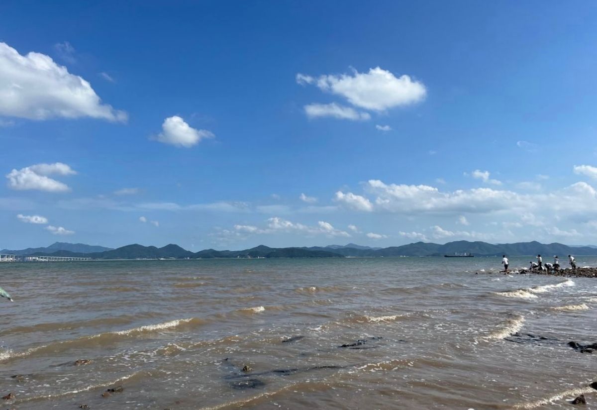 新湾沙滩旅行图片 1