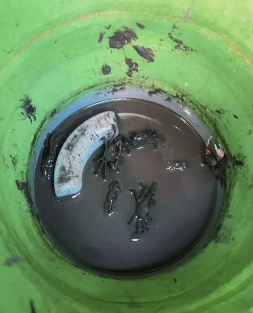 新湾沙滩旅行图片 1