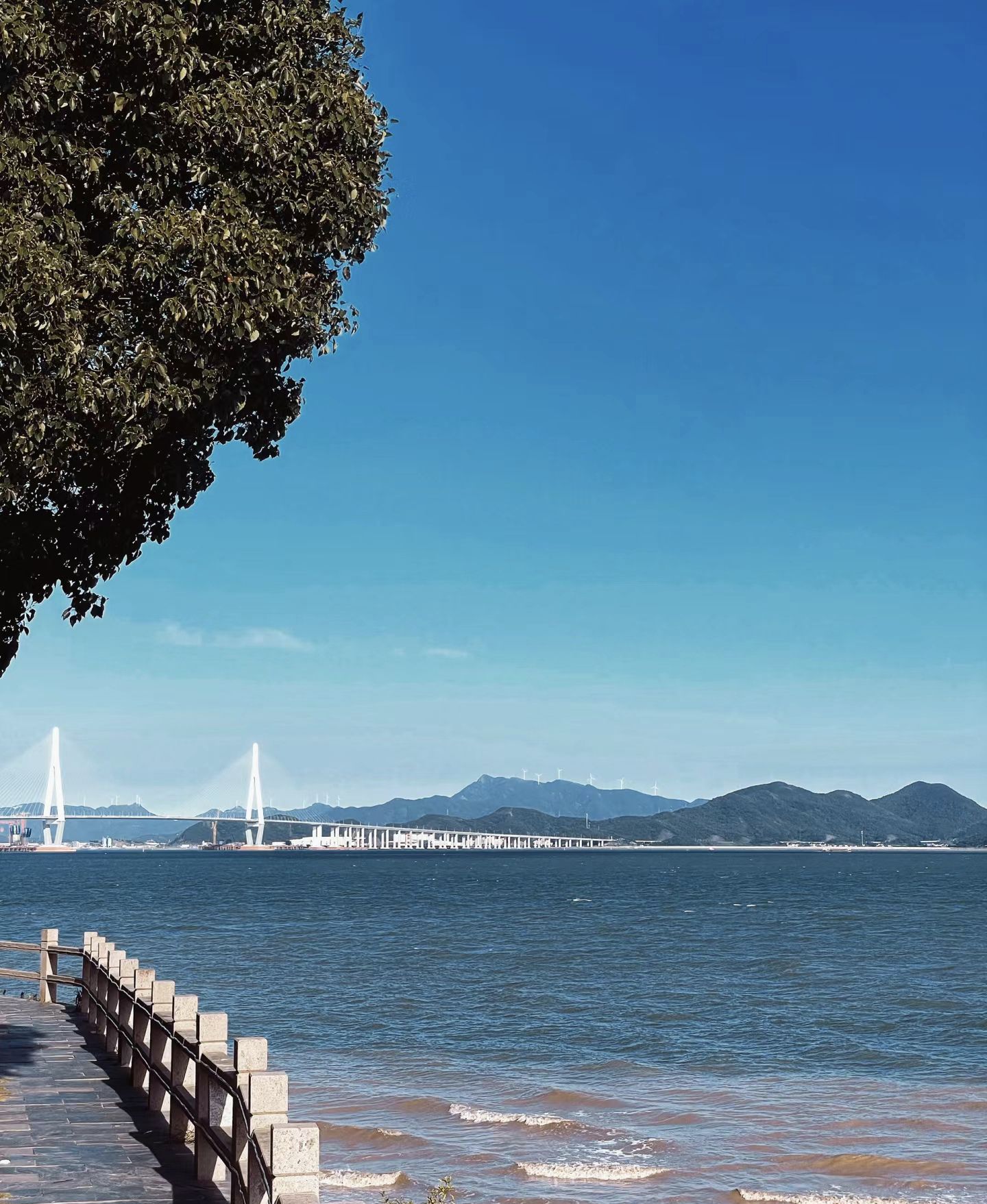 新湾沙滩旅行图片 2