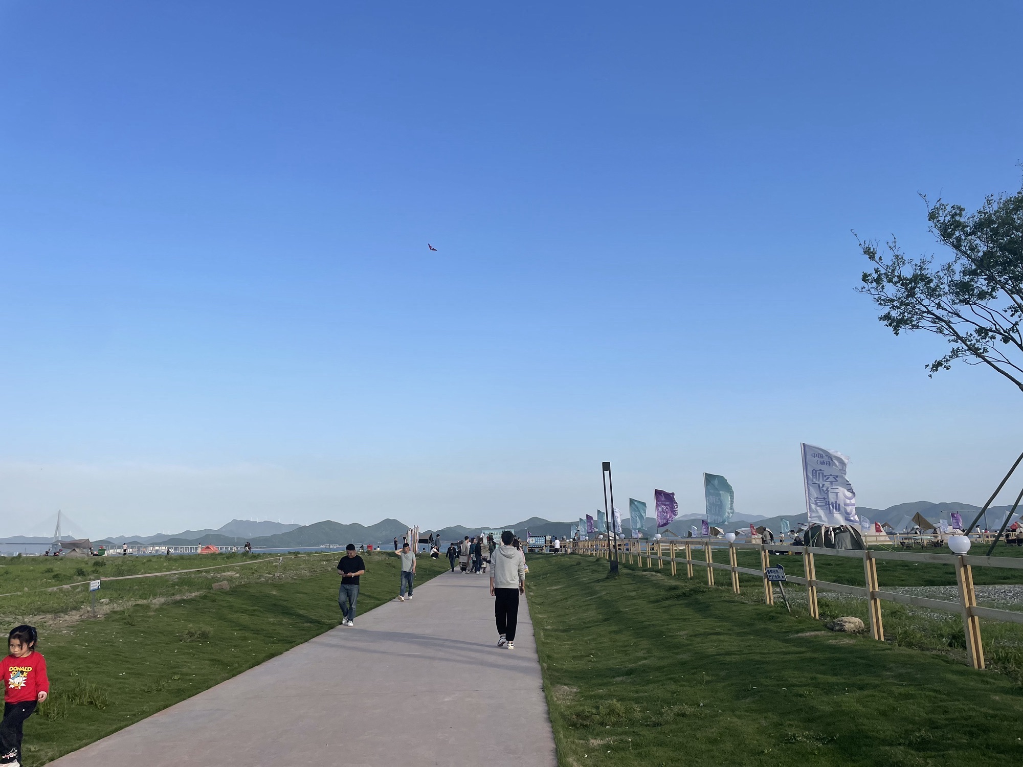 新湾沙滩旅行图片 2