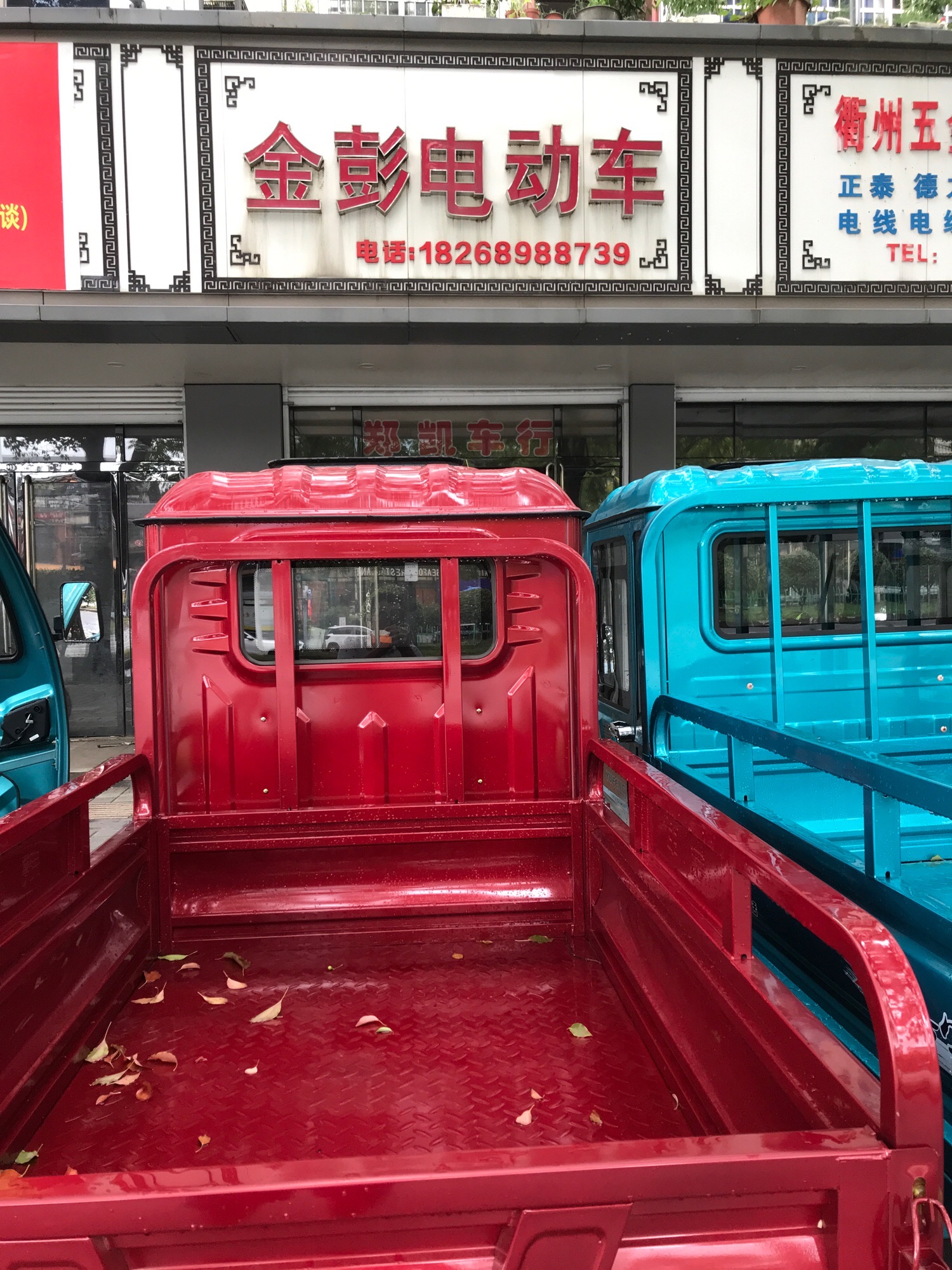 金彭电动三轮车(浙江衢州旗舰店)