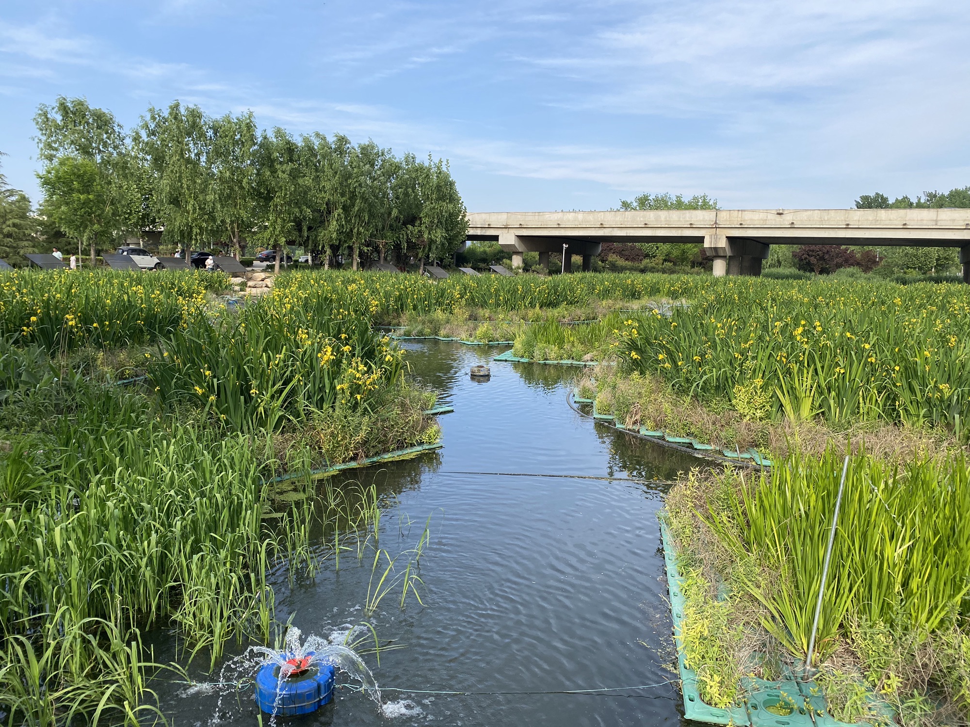 颛臾湿地公园旅行图片 3