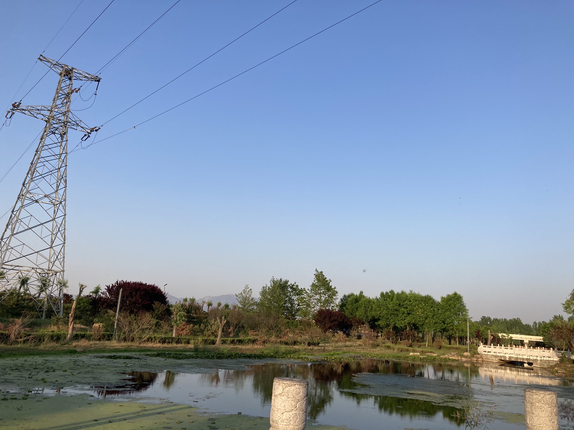颛臾湿地公园旅行图片 1
