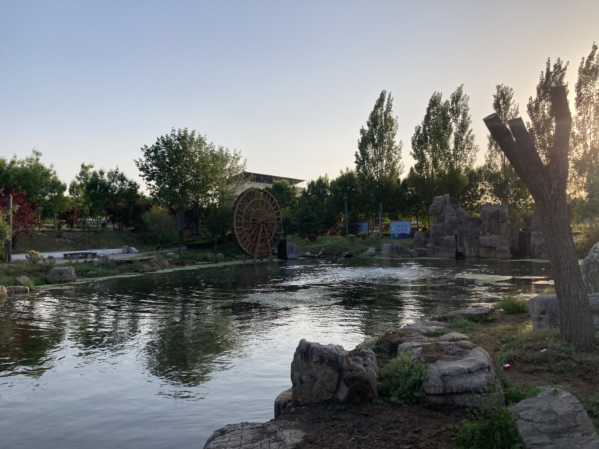 颛臾湿地公园旅行图片 2