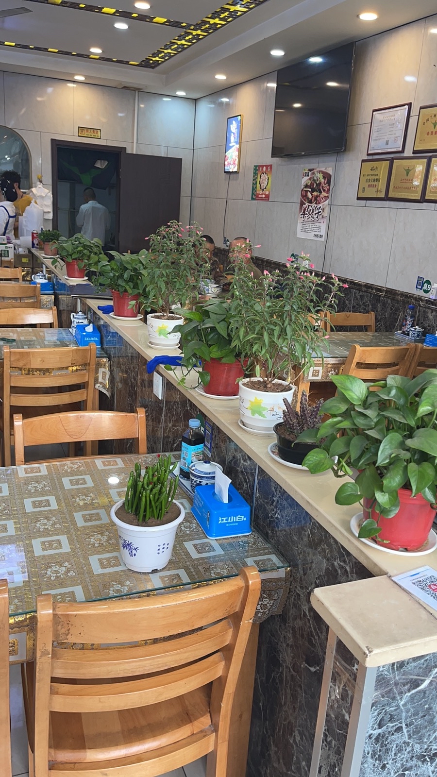 兰州老马食府(天泰新景店)