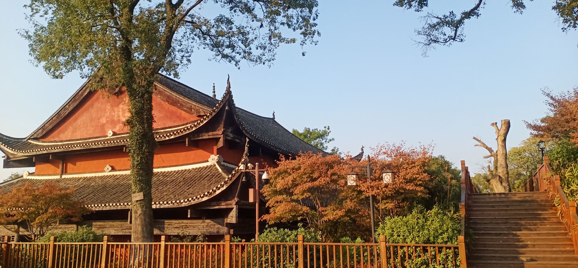 高山寺旅行图片 1