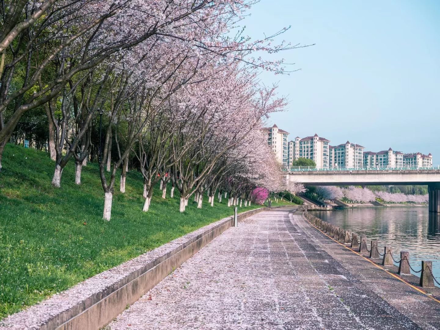 信安湖国家水利风景区旅行图片 1