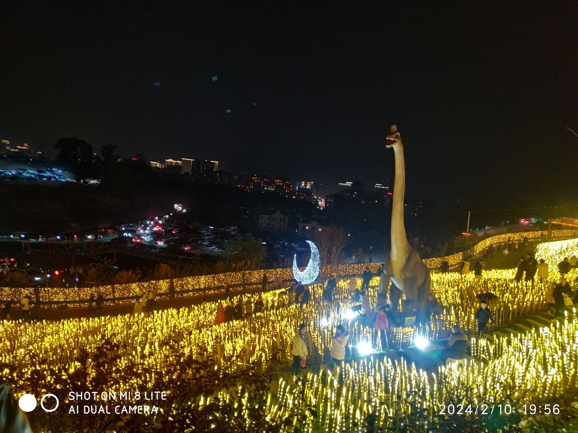 音乐半山里景区旅行图片 1