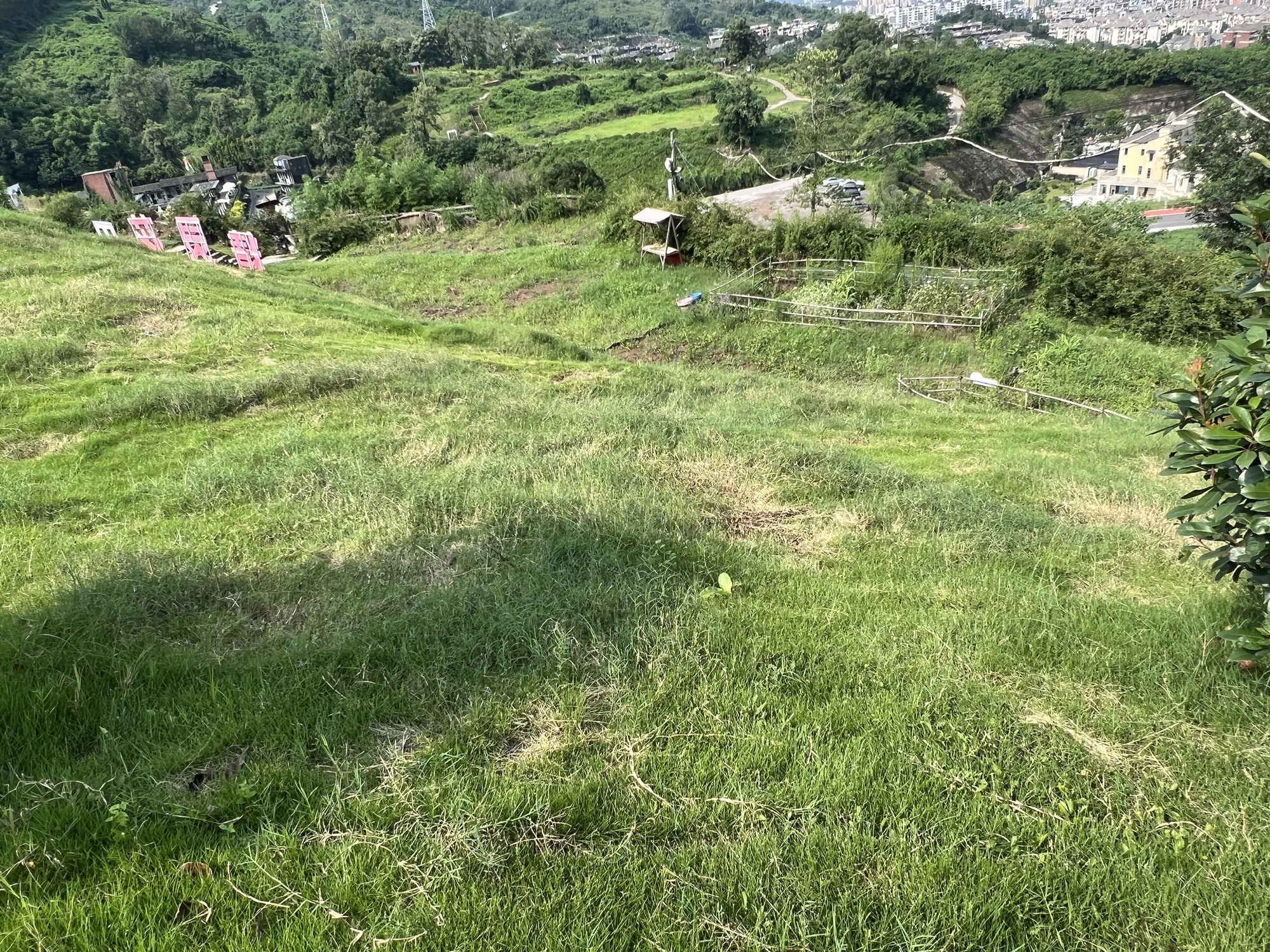 音乐半山里景区旅行图片 1