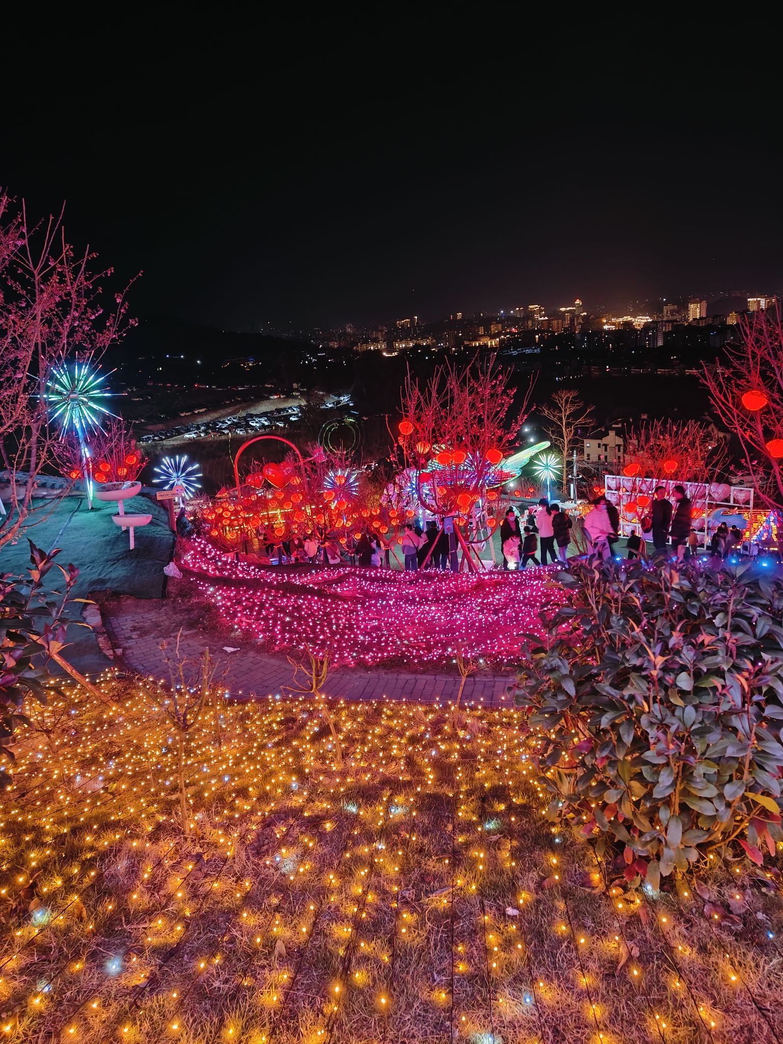 音乐半山里景区旅行图片 2