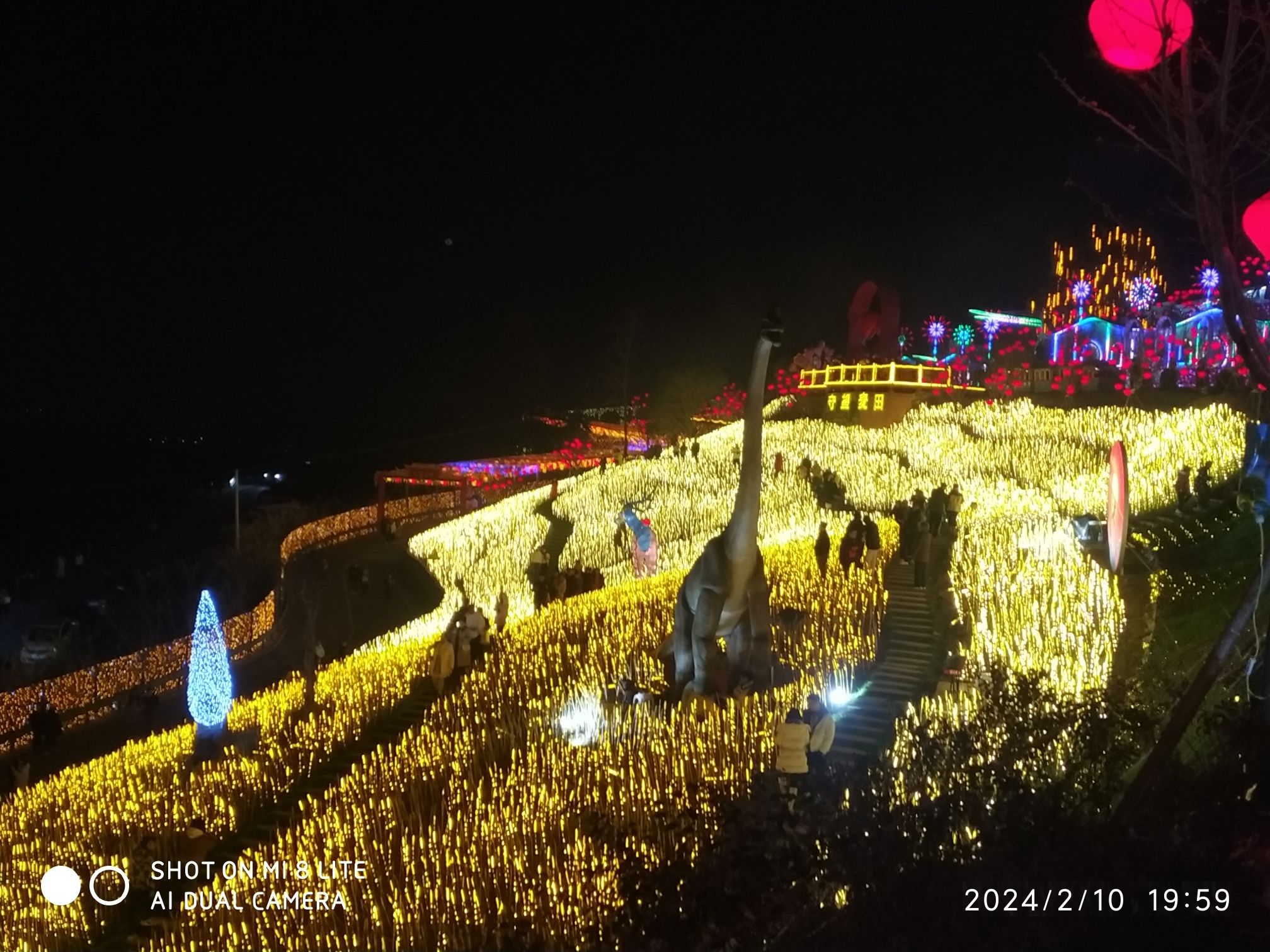 音乐半山里景区旅行图片 3