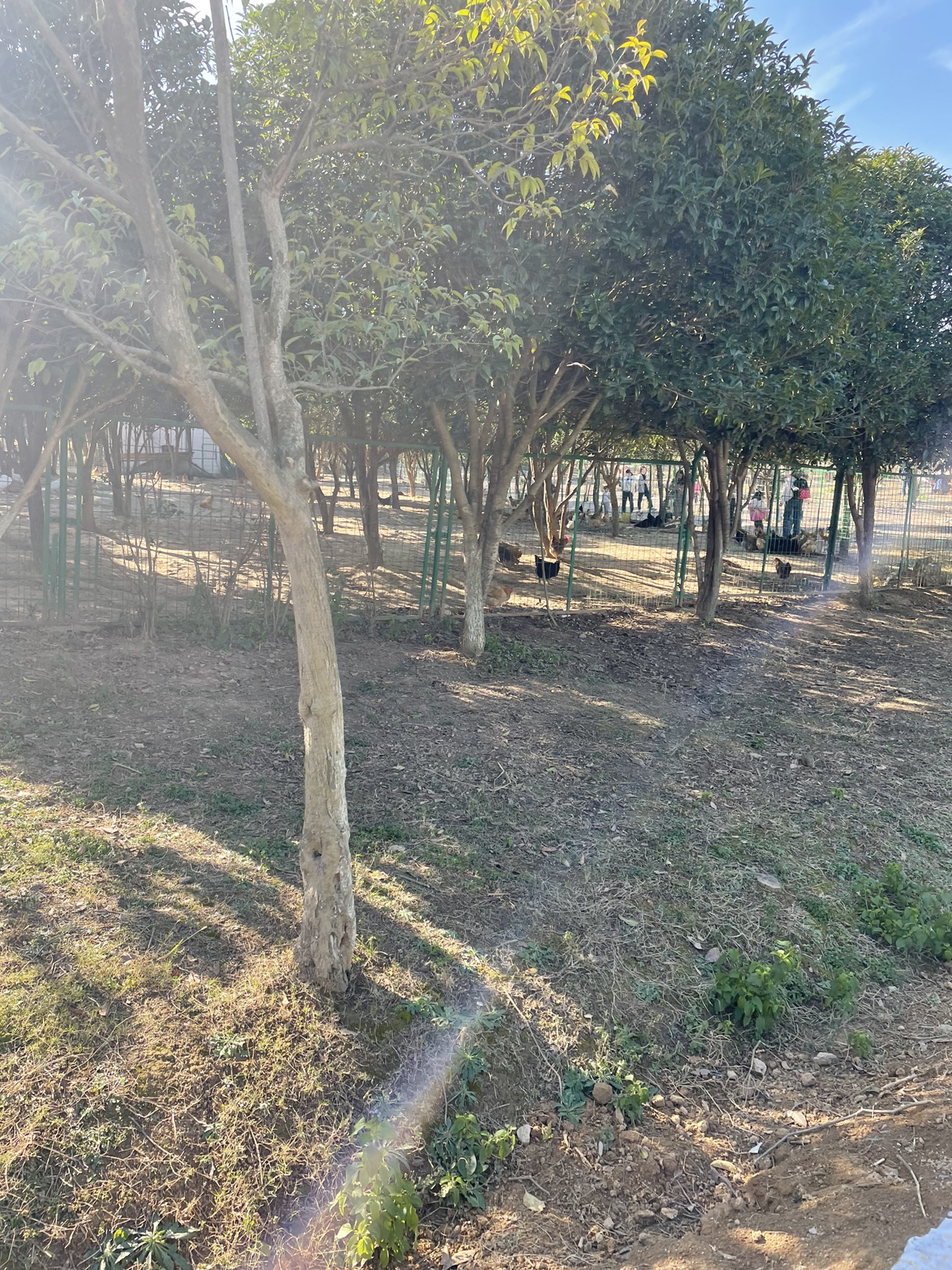 江宁龙山赏心谷旅行图片 2