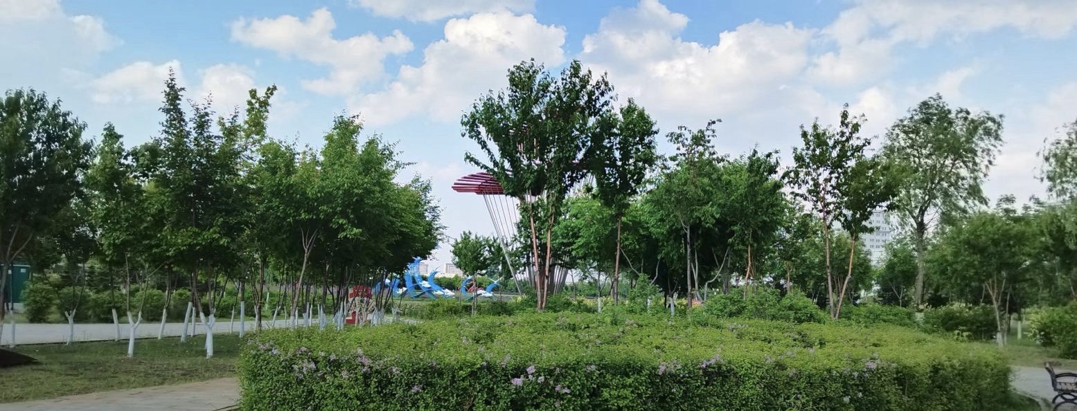 碧海公园旅行图片 3