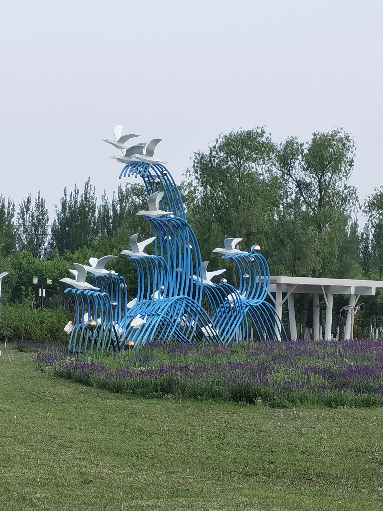 碧海公园旅行图片 1
