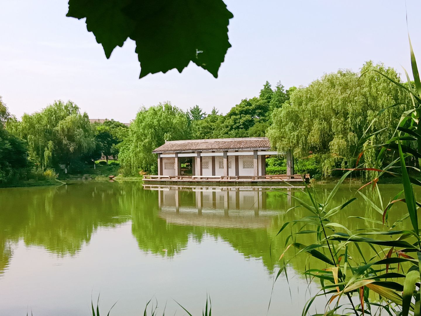 阳湖公园