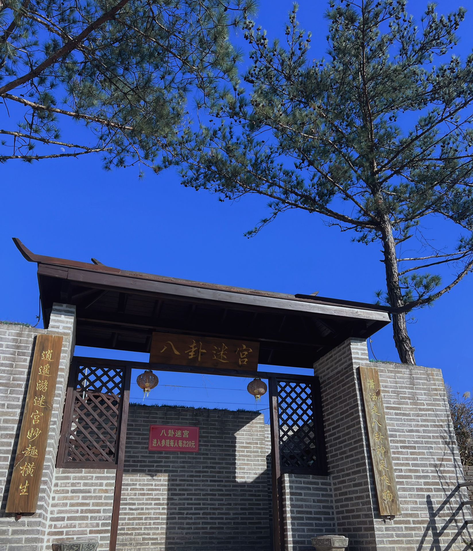 洛江虹山樱梅园景区旅行图片 1