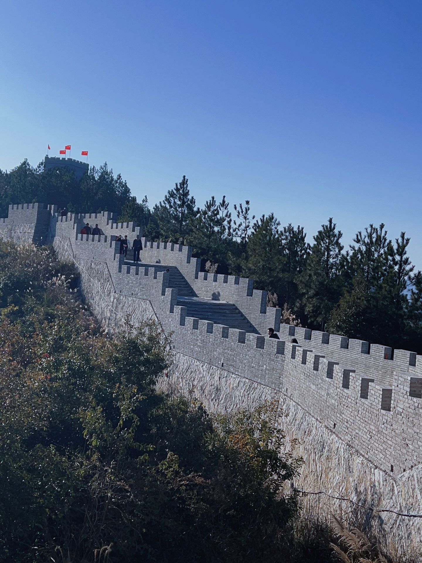 洛江虹山樱梅园景区旅行图片 3