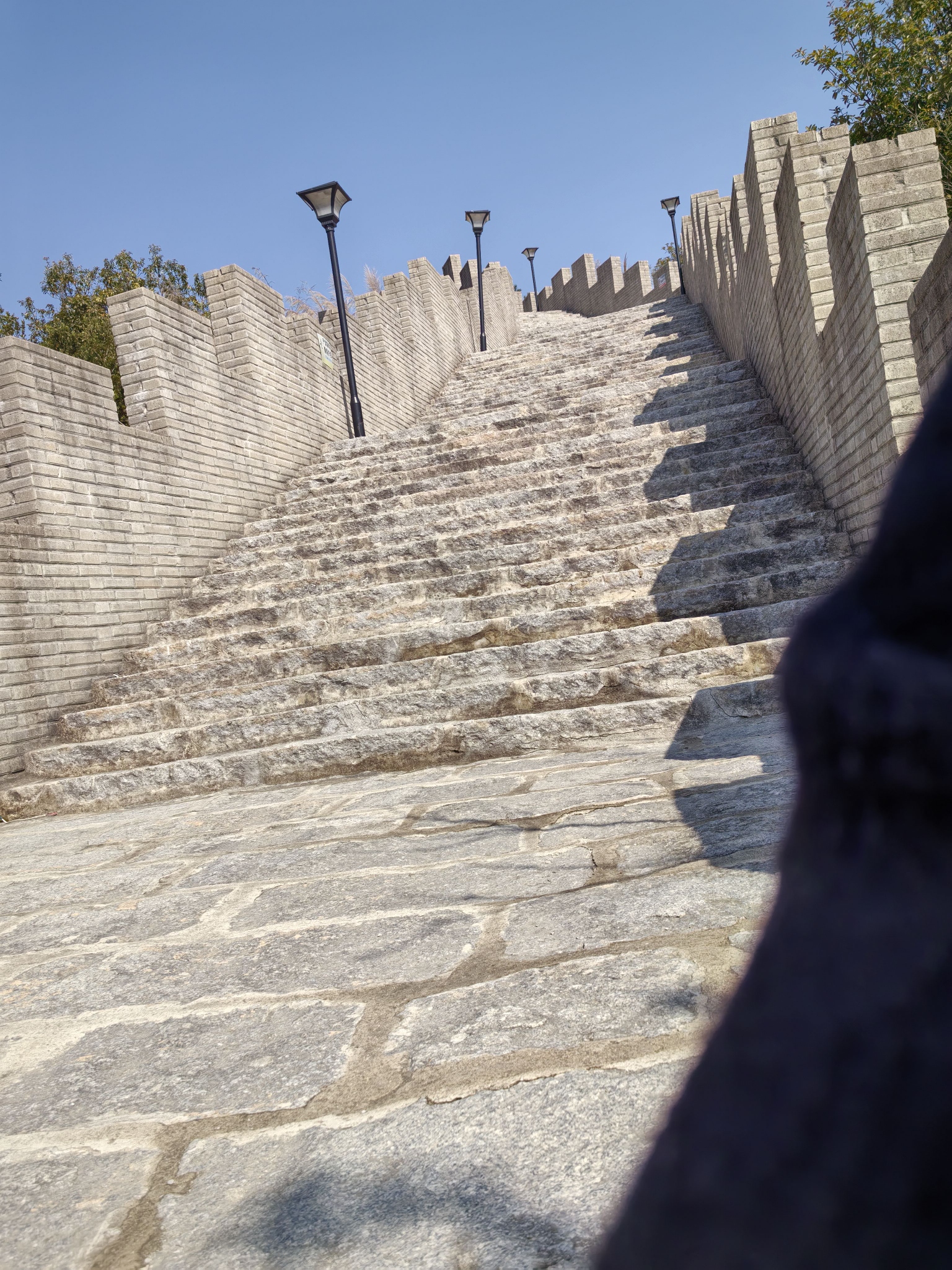 洛江虹山樱梅园景区旅行图片 2
