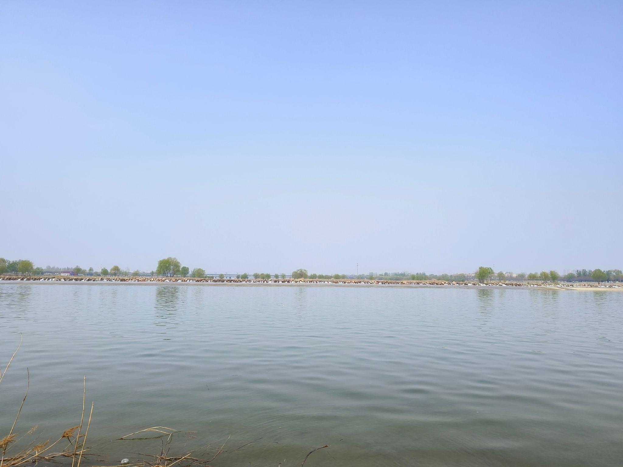 胜利大街花海旅行图片 3