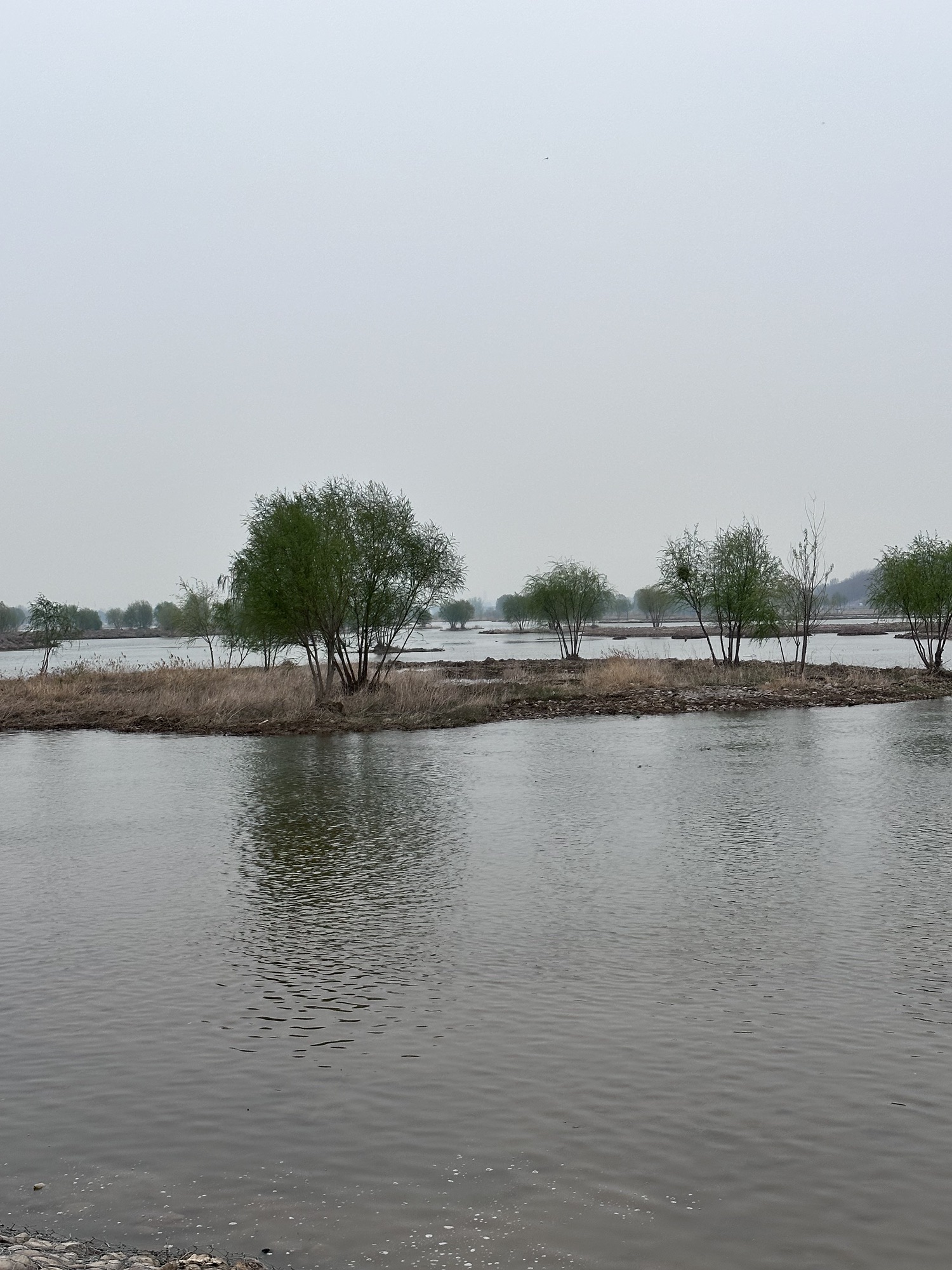 胜利大街花海旅行图片 3