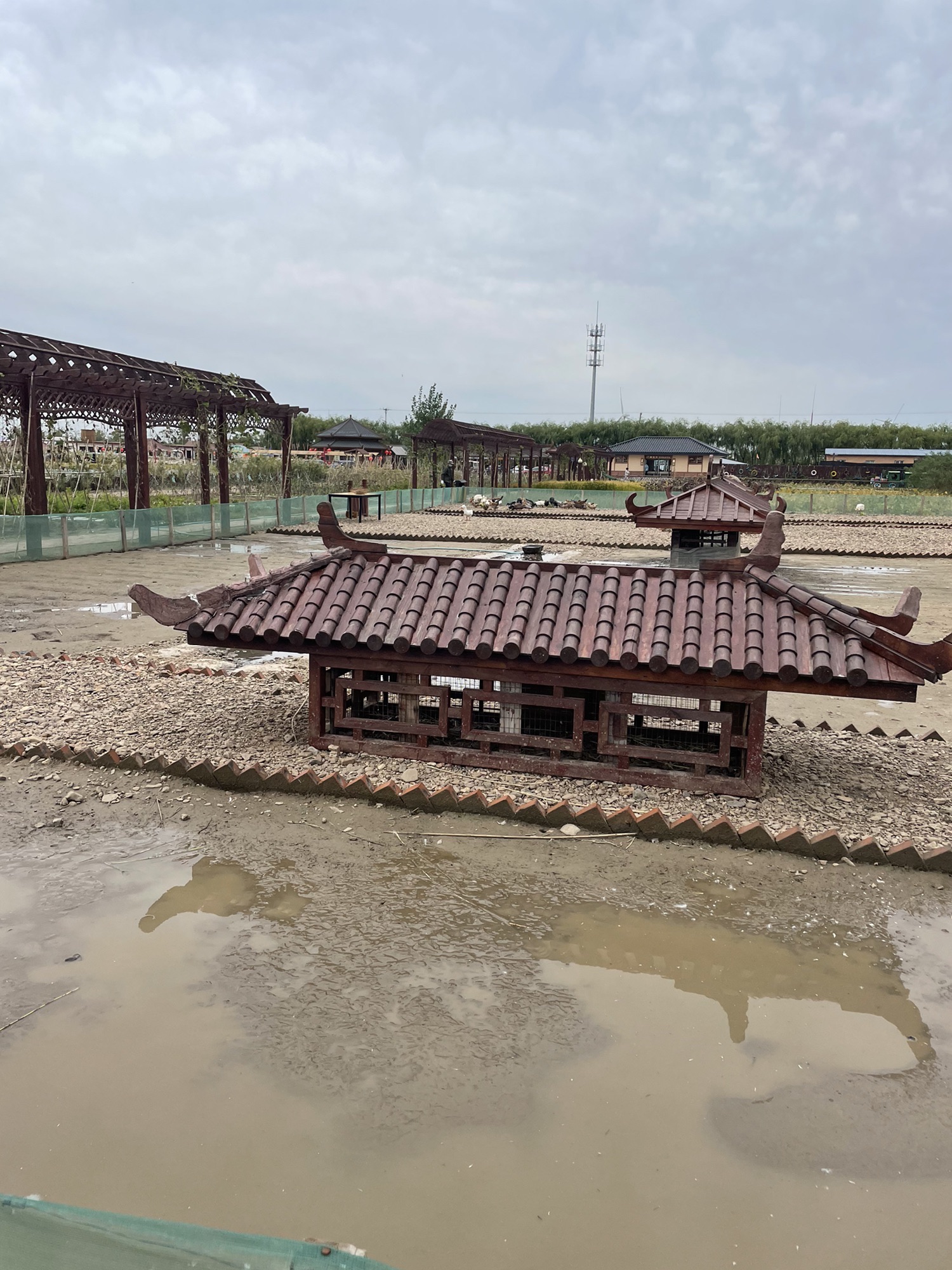 东方华地城蟹岛(暂停开放)旅行图片 1
