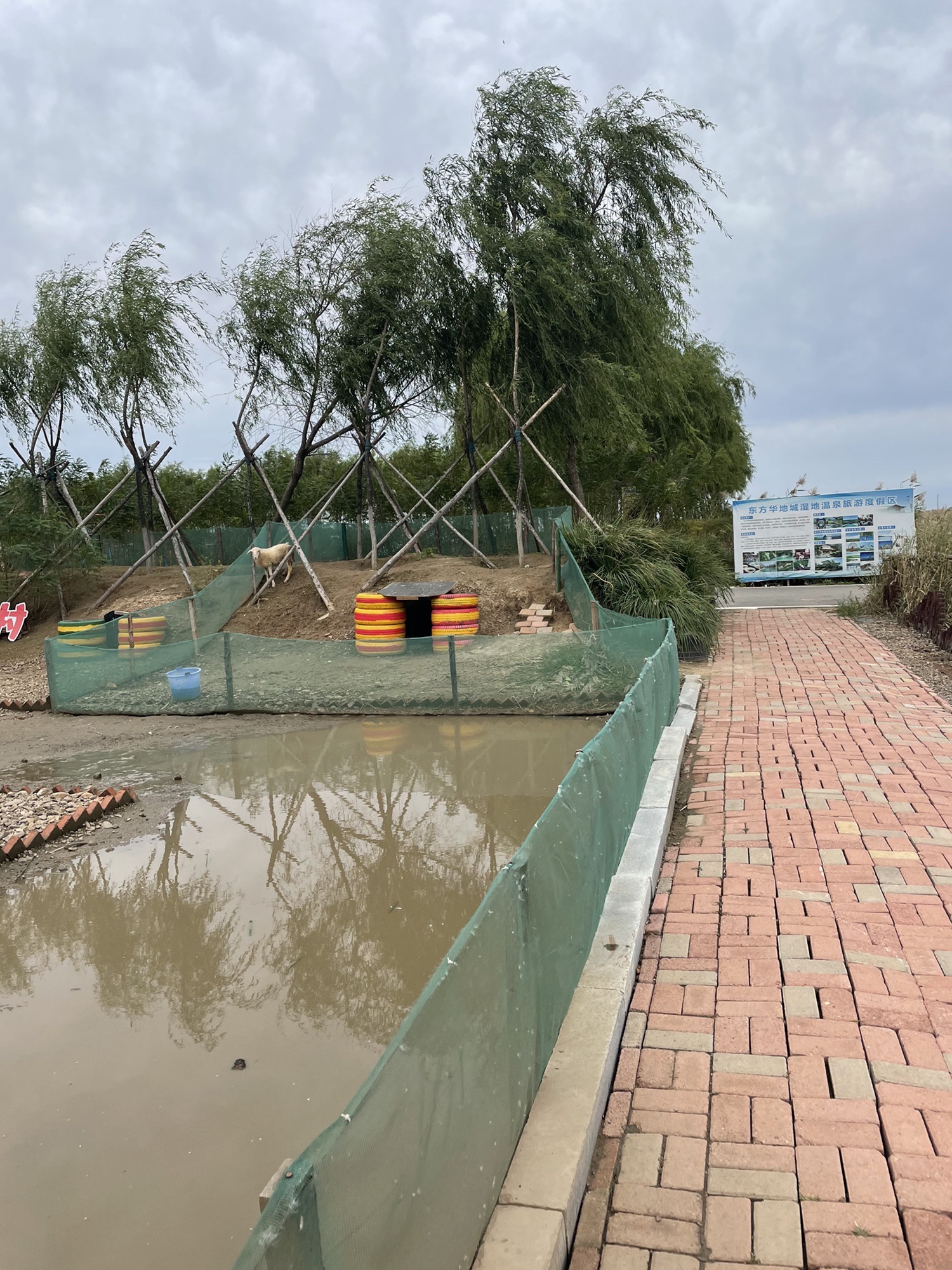 东方华地城蟹岛(暂停开放)旅行图片 2