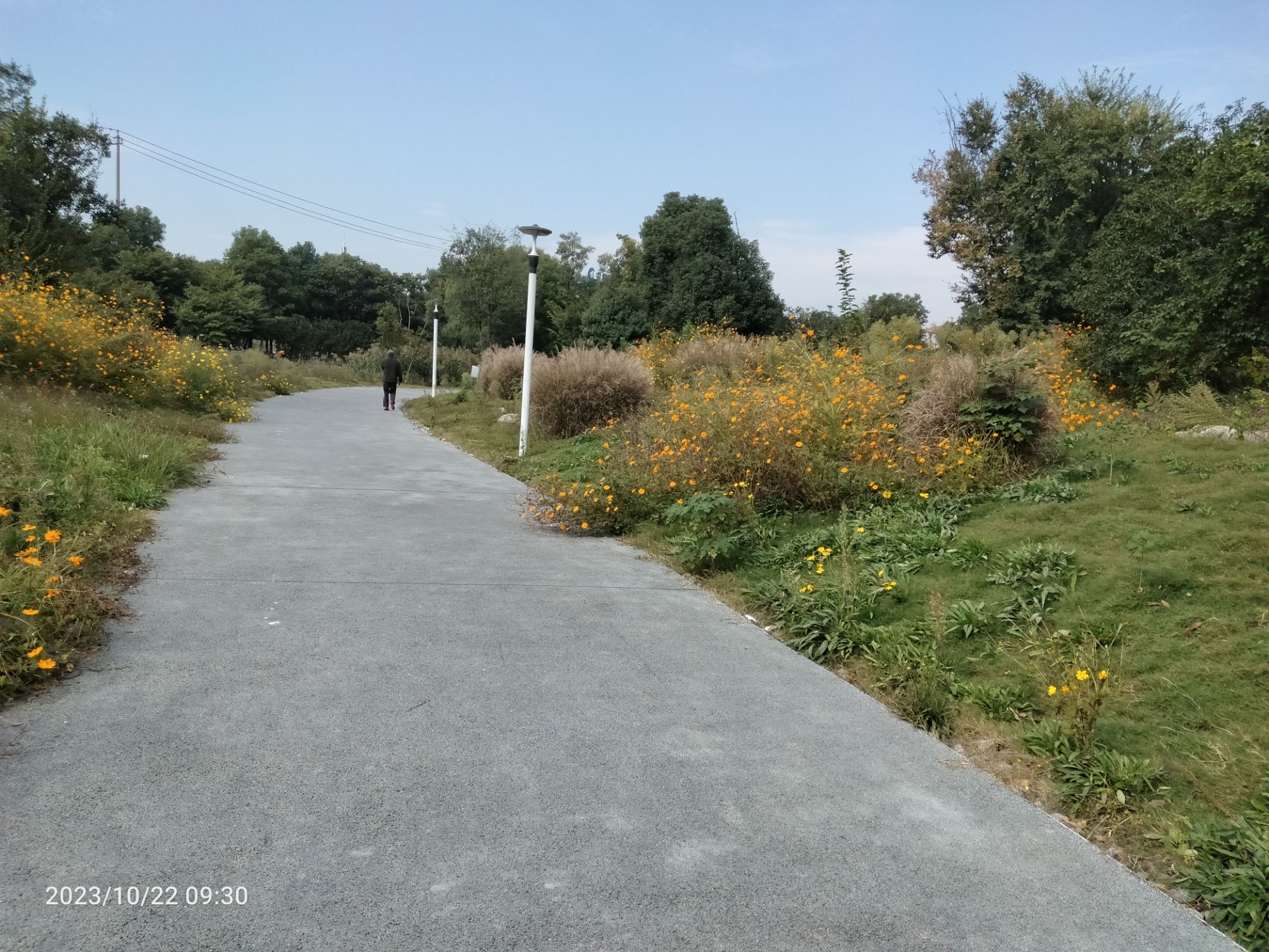 雅荷公园旅行图片 2