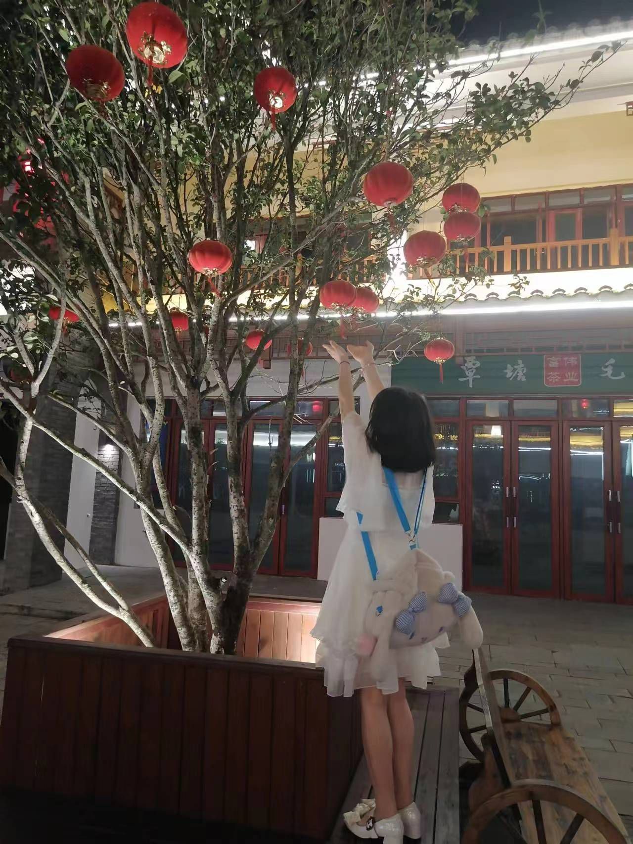 布山古郡旅行图片 2