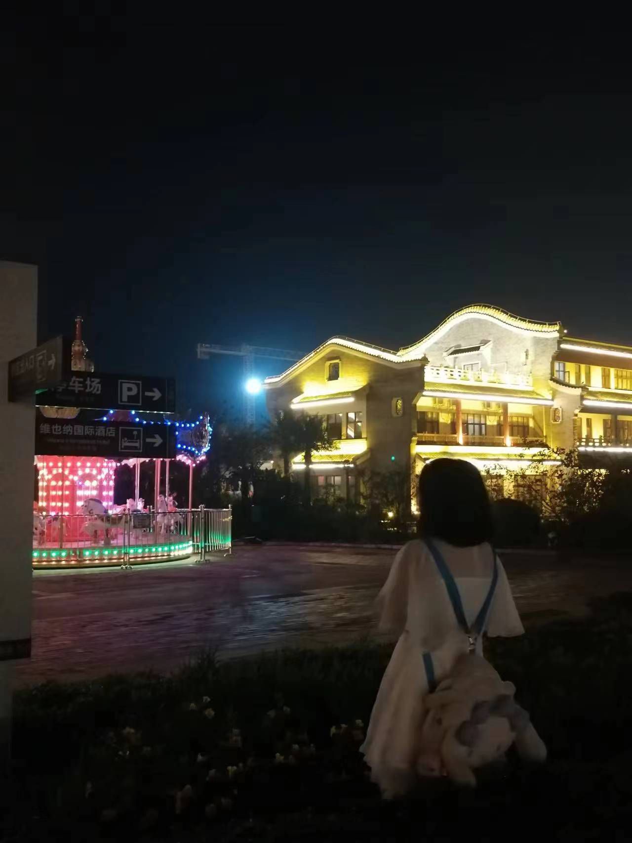 布山古郡旅行图片 1