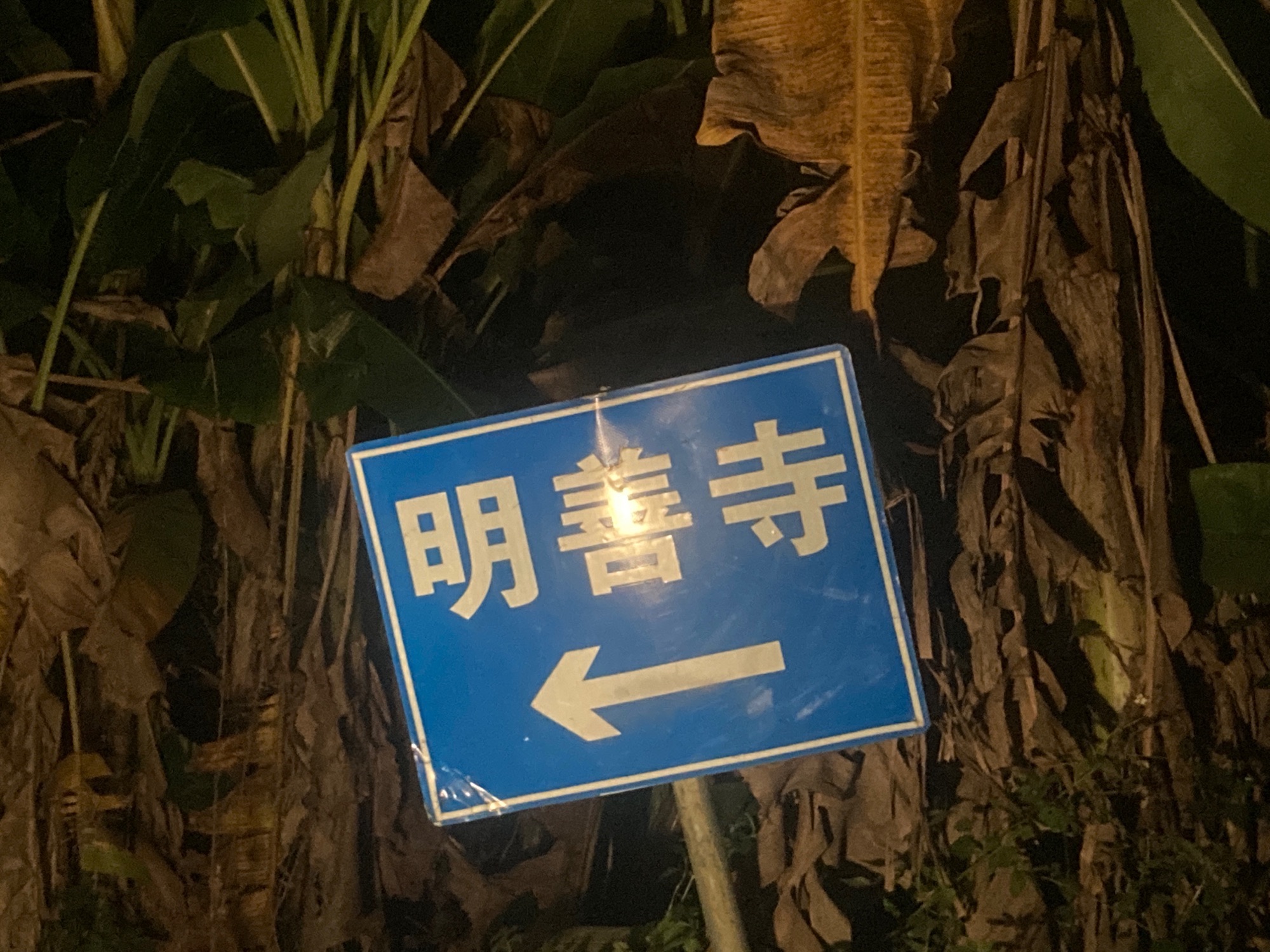 明善寺实景照片