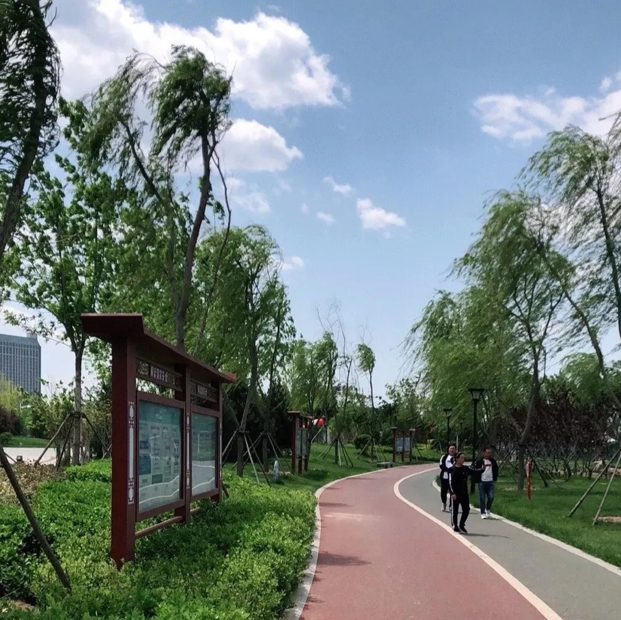 滨城区北海公园旅行图片 1