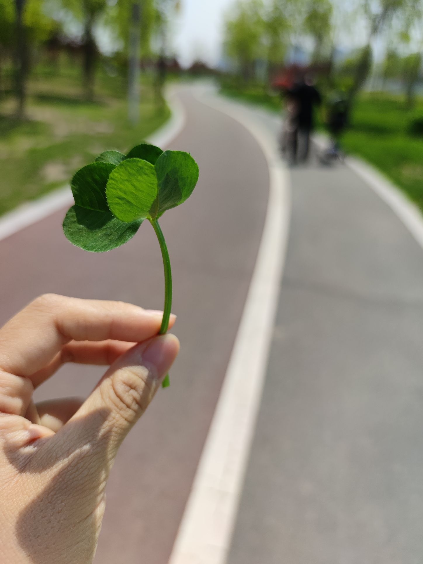 滨城区北海公园旅行图片 3