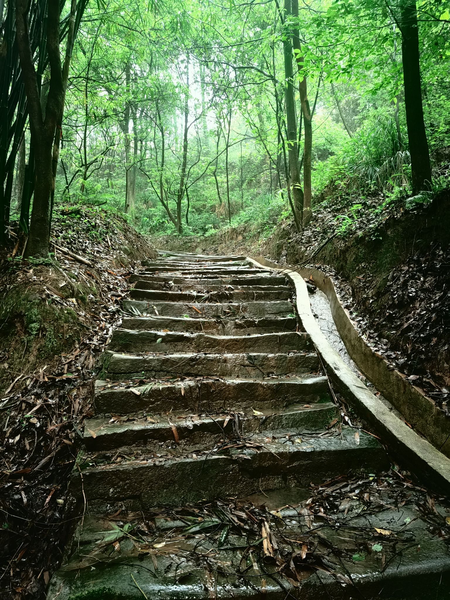 成渝古驿道遗址旅行图片 2