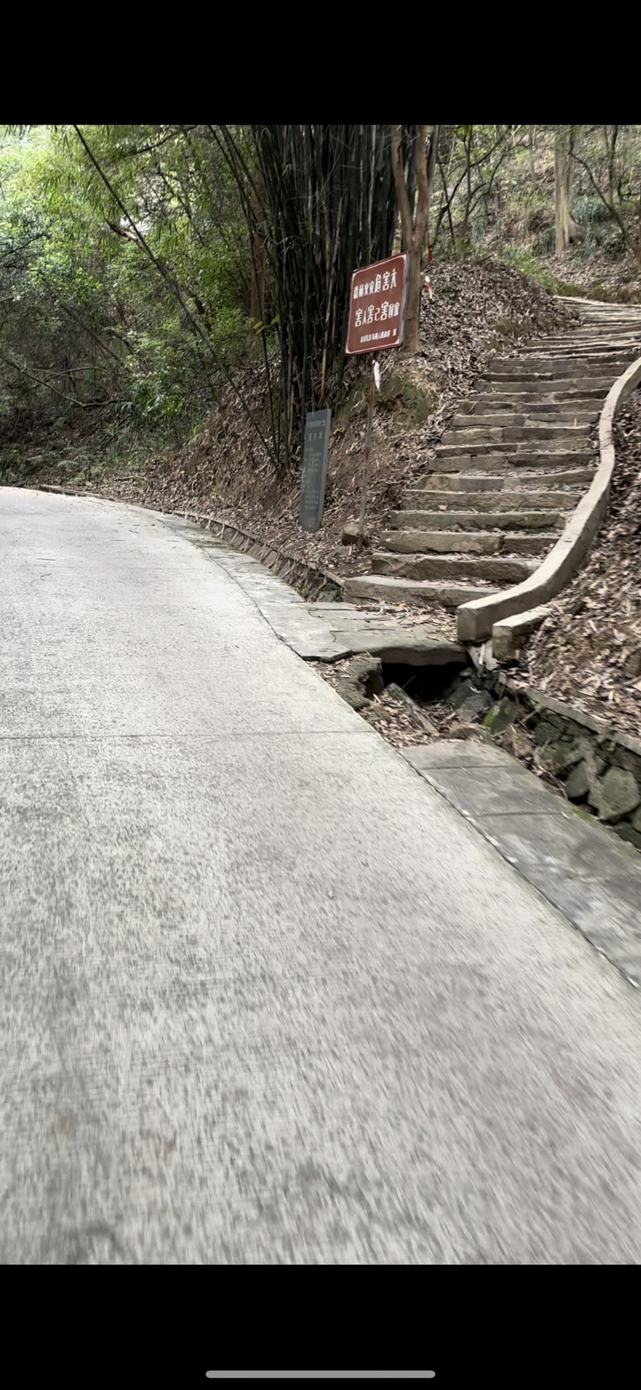 成渝古驿道遗址旅行图片 2