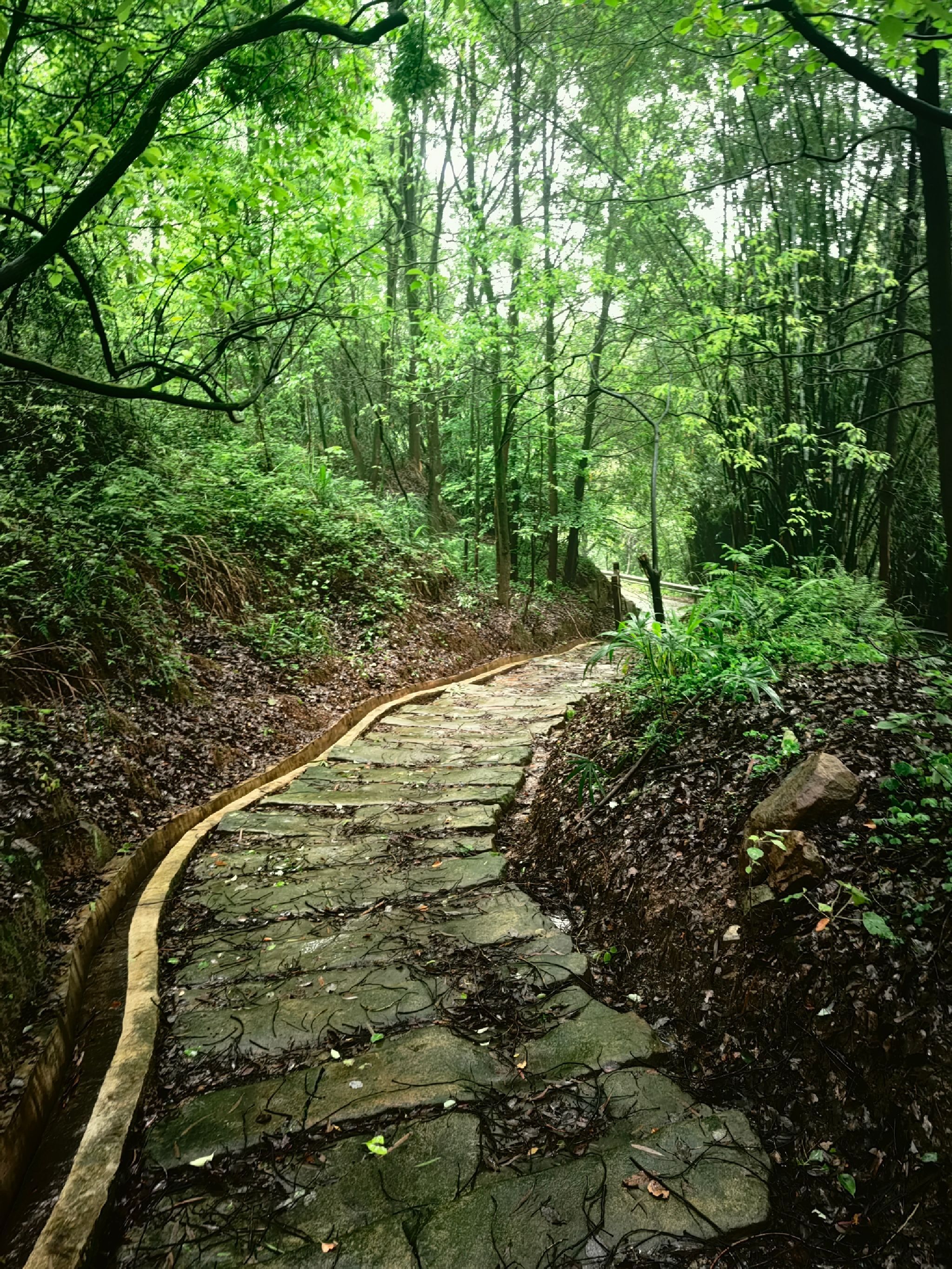 成渝古驿道遗址旅行图片 3