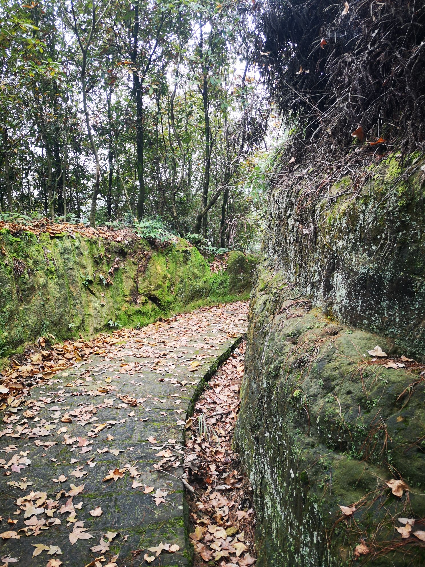 成渝古驿道遗址旅行图片 3