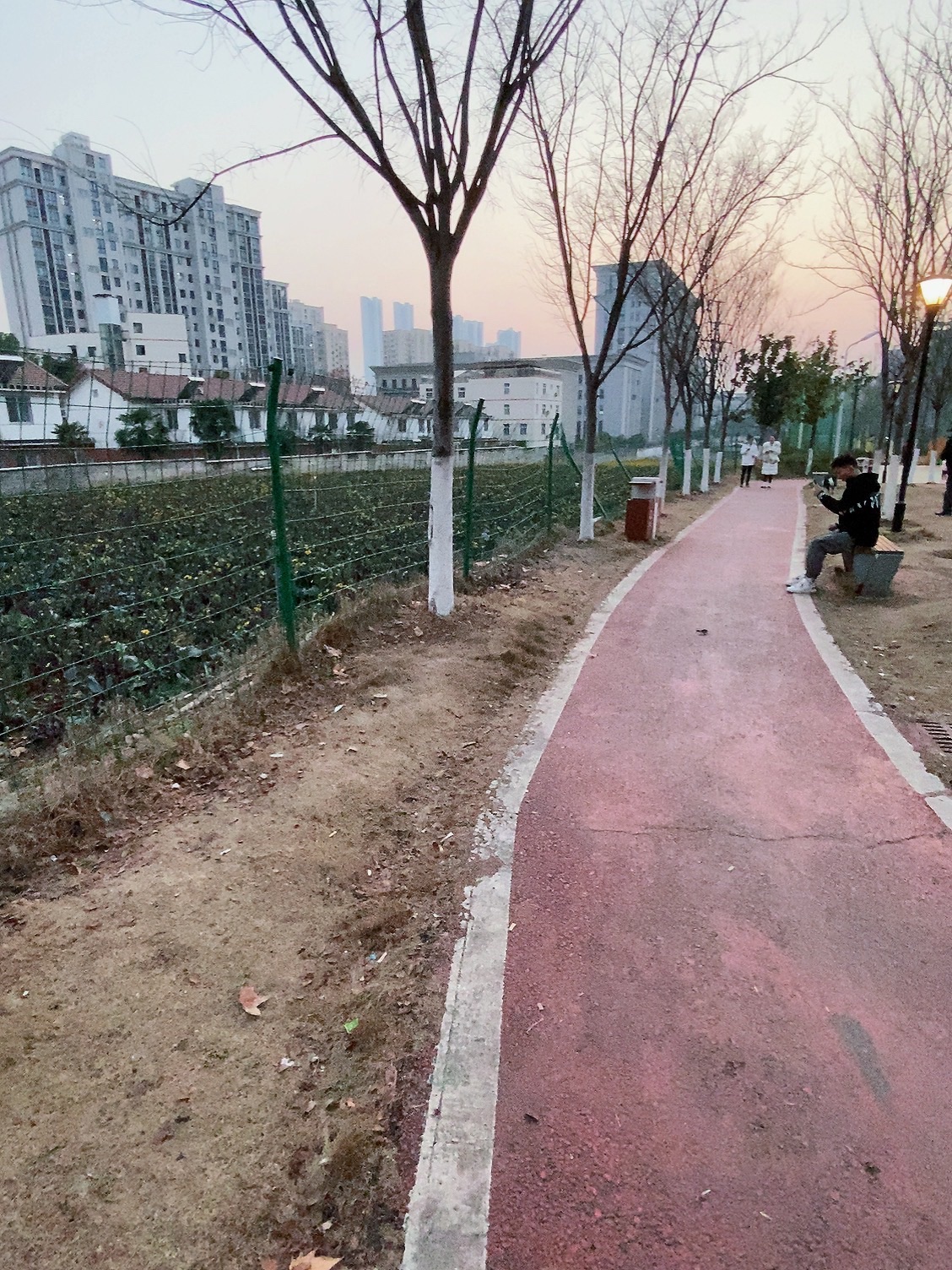 洪山菜薹公园旅行图片 1