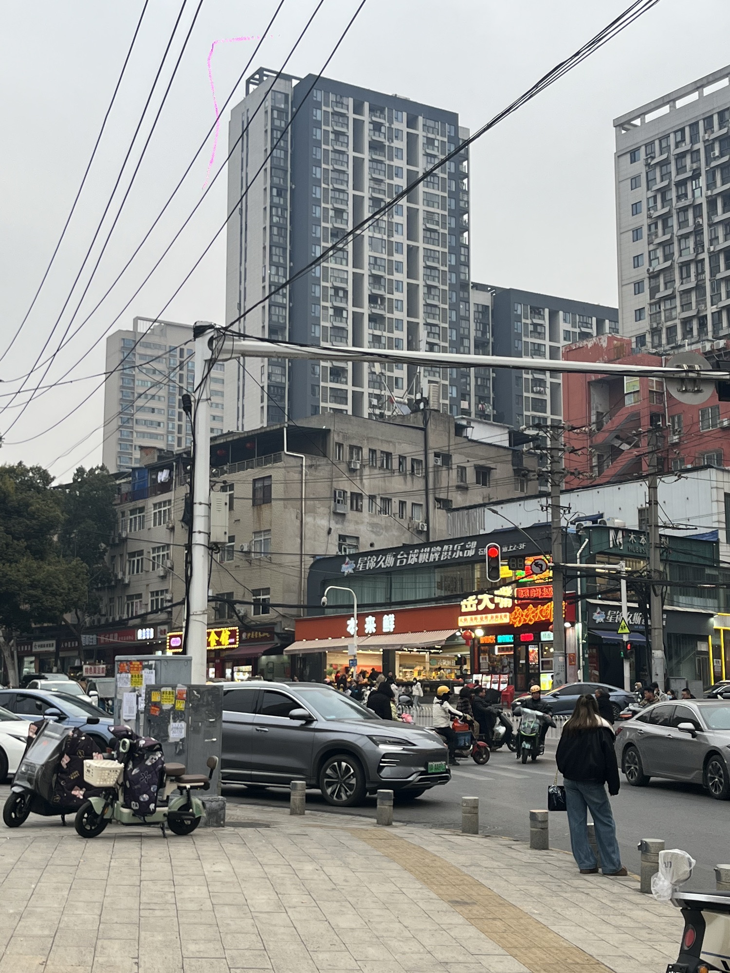 洪山菜薹公园旅行图片 3