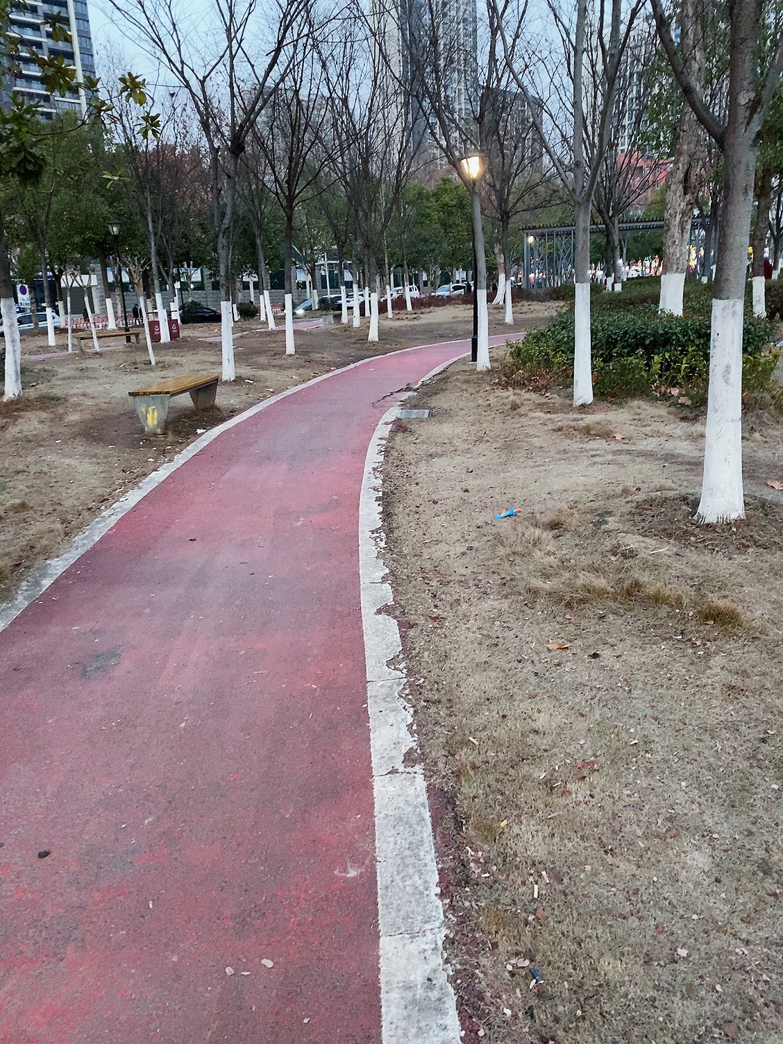 洪山菜薹公园旅行图片 2