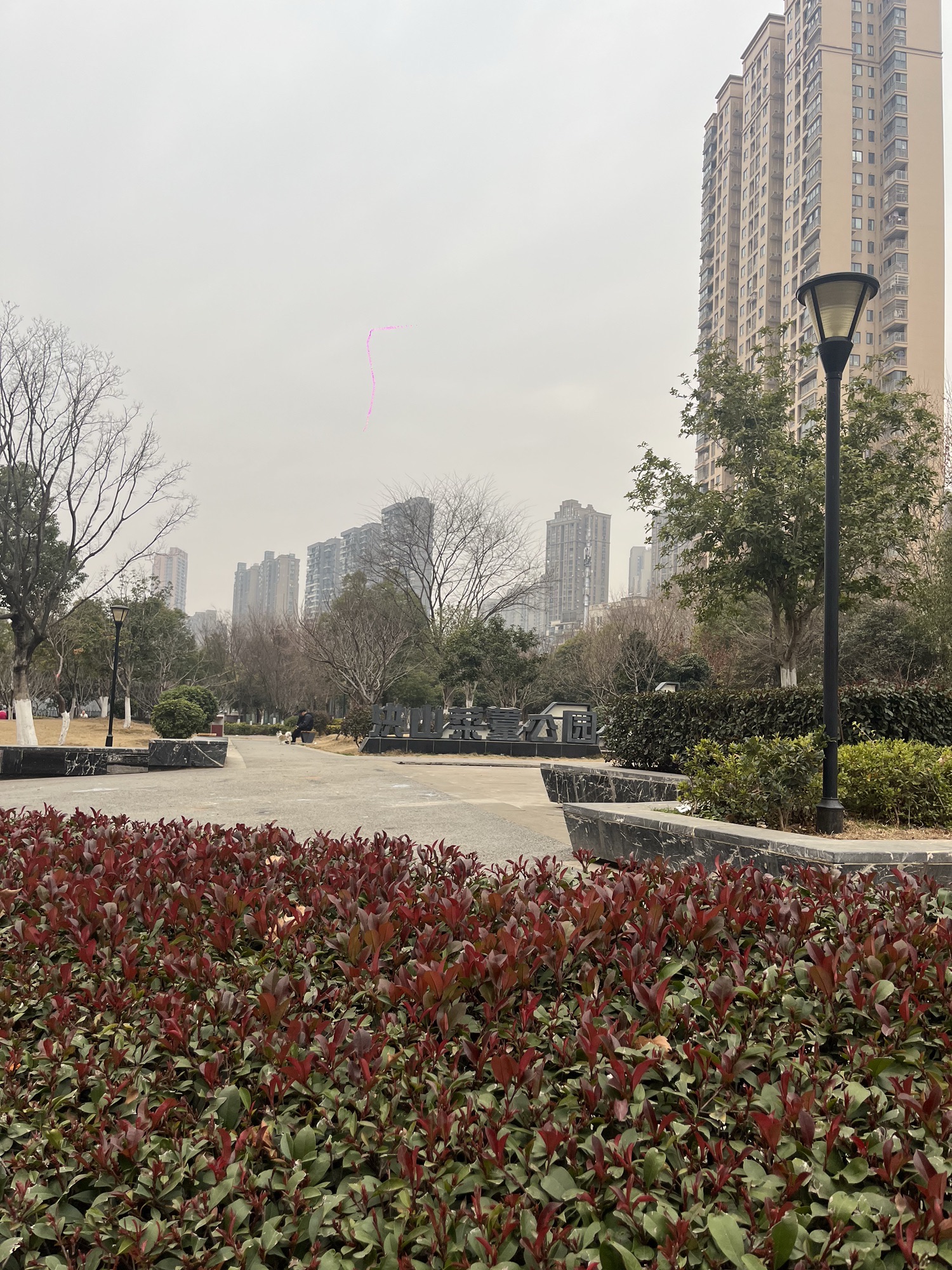 洪山菜薹公园旅行图片 2